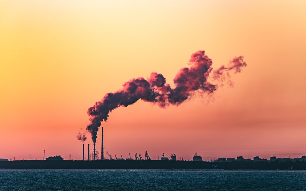 How companies can become more sustainable