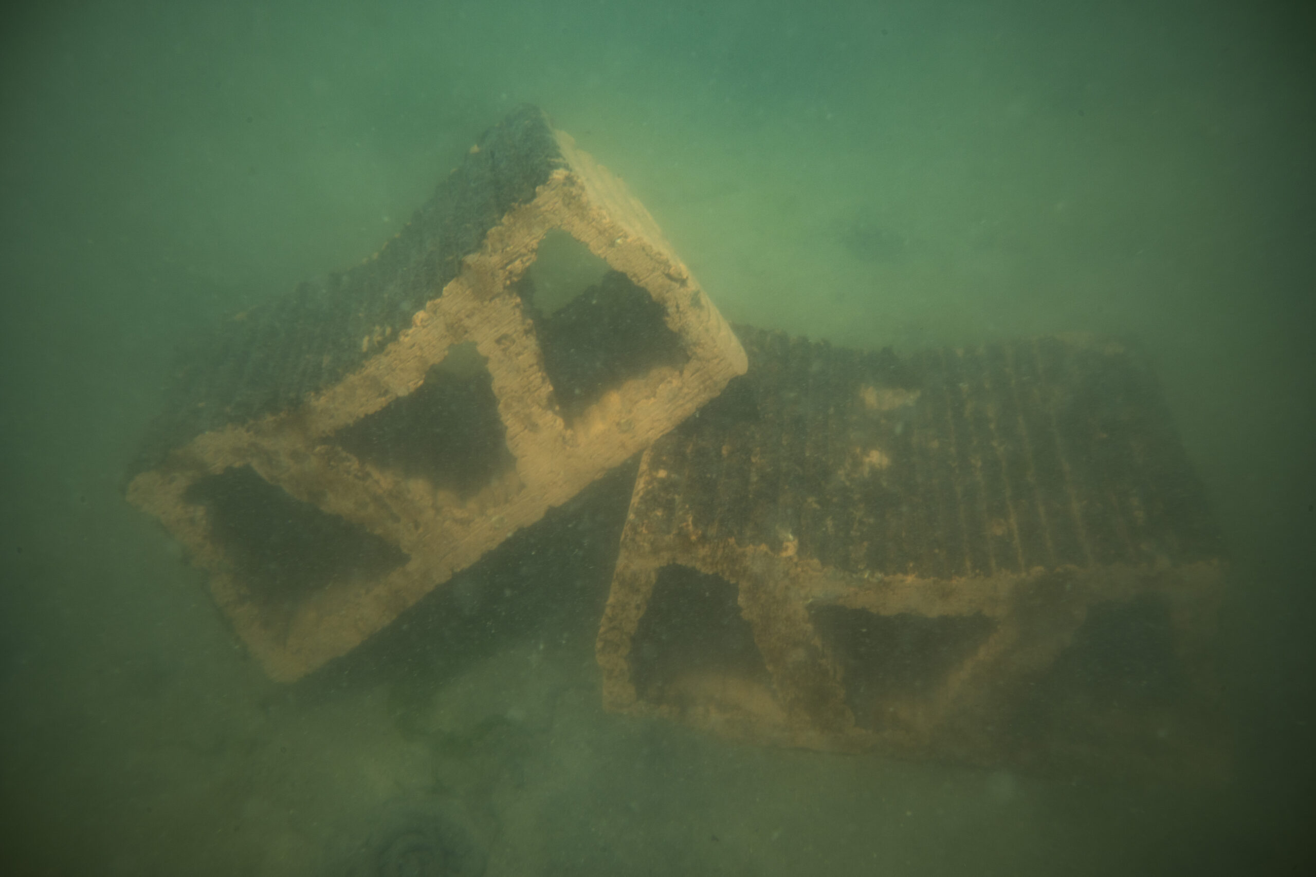 Mother Reef - Oyster substrate developed by Oyster Heaven